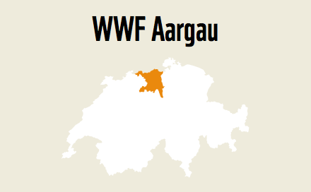 WWF VORLAGE WWF Sektionen